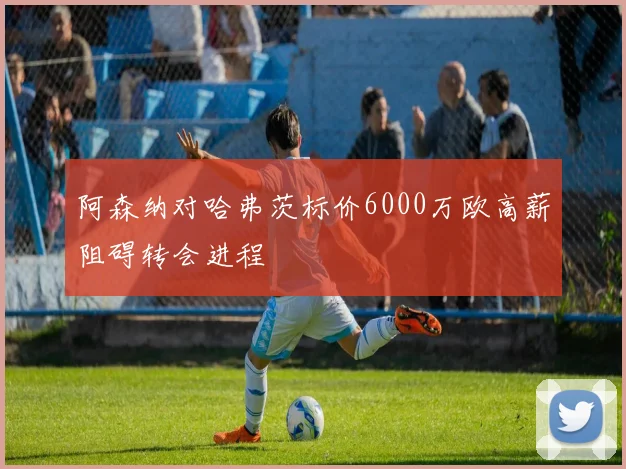 阿森纳对哈弗茨标价6000万欧高薪阻碍转会进程