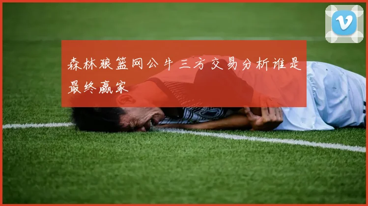 森林狼篮网公牛三方交易分析谁是最终赢家