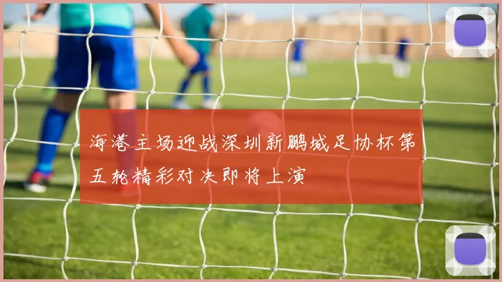 海港主场迎战深圳新鹏城足协杯第五轮精彩对决即将上演